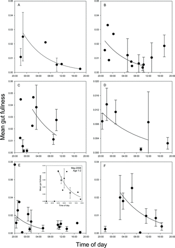 FIGURE 4 Mean (±SE) gut fullness (g of prey/g of predator) in age-0–1 red drum versus time of capture (beginning at 2000 hours [8:00 PM] in each panel) during (A) July 2007, (B) August 2007, (C) October 2007, (D) November 2007, (E) July 2008, and (F) August 2008, representing dates when declining gut fullness patterns allowed estimation of gastric evacuation rates (see Table 3). Each symbol represents the mean gut fullness per net set. Absence of error bars indicates that only one fish was captured in a given net set. Note the slight changes in scale among y-axes. For age-1–2 red drum, the evacuation rate could be estimated during only one time period (May 2008); the decline in gut fullness for those fish is presented as an inset in panel E.