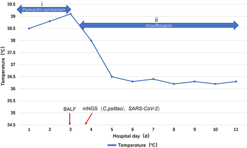 Figure 3 The patient’s clinical course and treatment. Body temperature alterations and antibacterial therapy, (i) 4.5 g piperacillin-tazobactam administered as an intravenous bolus every 8 hours on days 1–3 and (ii) 0.4 g of moxifloxacin administered as an intravenous bolus once daily on days 4–11.