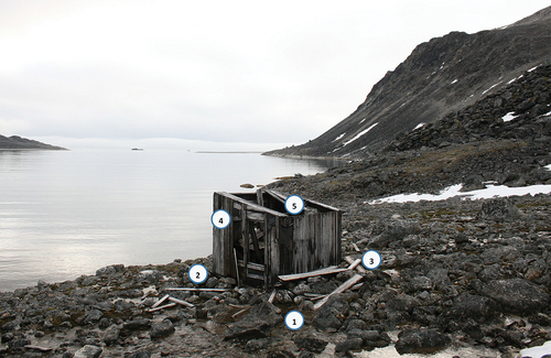 Figure 11. Microclimatic zones exemplified in-situ in a heritage trapper’s cabin in Kobbefjorden, Danes Island, Spitsbergen in Svalbard: (1) Permafrost area; freezing temperatures, no free water; (2) Thawing zone; low temperature, high water content; (3) Soil contact, relative humidity (RH); moderate temperature, high water content; (4) RH, precipitation; high temperature, high water content; and (5) RH, leakages; moderate temperature, high water content.