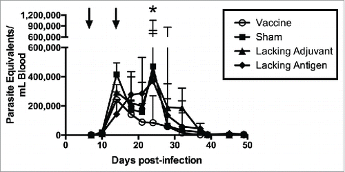 Figure 6. Therapeutic efficacy as measured by systemic parasitemia. Mice were infected with T. cruzi, and then immunized at days 7 and 14 post infection, as shown by arrows (↓). The vaccine was compared to controls lacking the CpG ODN (lacking adjuvant control) or the Tc24 protein (lacking antigen control), both delivered in the nanoparticle delivery system, as well as a sham vaccine group. Parasitemia in the blood was measured twice weekly by quantitative real-time PCR throughout the acute phase of infection. Data are plotted as median and interquartile range (n = 10). Significance was calculated using Kruskal-Wallis test with Dunn's correction for multiple comparisons; *p < 0.05 when comparing the vaccine to the sham.