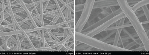 Figure S3 SEM image of neat PDO nanofiber after NIR irradiation (left, low magnification and right, high magnification).Abbreviations: NIR, near-infrared; PDO, polydioxanone; SEM, scanning electron microscopy.