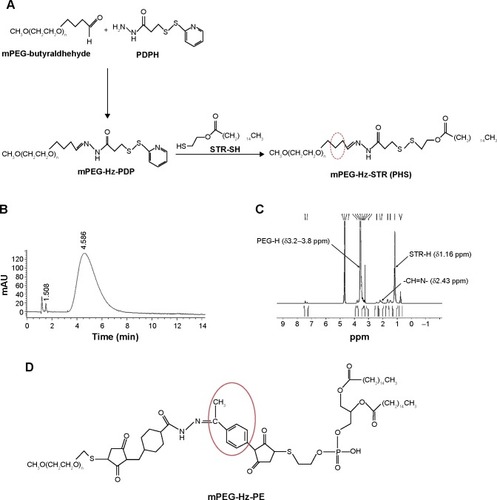 Figure 1 (A) The synthetic route of PHS. (B) HPLC spectrum of PHS. (C) 1H NMR spectrum of PHS, D2O was used as a solvent. (D) The chemical structure of mPEG-Hz-PE.Abbreviations: PHS, mPEG2000-hydrazone-stearate (mPEG2000-Hz-STR); HPLC, high-performance liquid chromatography; PEG, polyethylene glycol; min, minutes.