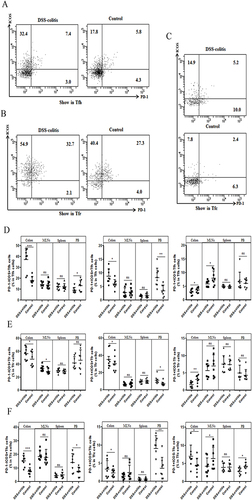 Figure 5 Flow cytometry analysis of functional subset levels of Tfh, Tfr and Tfc classified by PD-1 and ICOS expressions in DSS-induced colitis mice. (A–C) Dot plots displaying the expression of ICOS and PD-1 in Tfh cells (A), Tfr cells (B) and Tfc cells (C). The numbers indicate the percentages of ICOS+PD-1-, ICOS+PD-1+ and ICOS-PD-1+ subsets in each cell population. (D–F) Comparison of the ICOS+PD-1-, ICOS+PD-1+, and ICOS-PD-1+ subsets in Tfh cells (D), Tfr cells (E) and Tfc cells (F) in the colon, mesenteric lymph nodes (MLNs), spleen and peripheral blood between DSS-induced colitis mice (n=8) and controls (n=8). Each symbol represents an individual subject and each subject was measured once in a separate experiment. Data are presented as mean±SD. Statistical significance is indicated by *(p < 0.05), **(p < 0.01), and ***(p < 0.001).