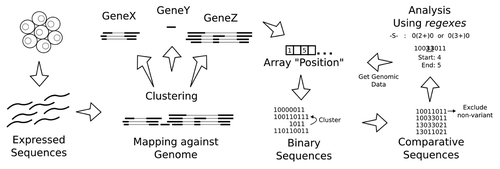 Figure 1. General strategy to process and analyze CASEs in a set of expressed sequences.