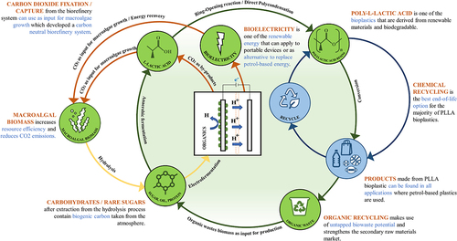 Figure 14. Schematic diagram of circular biorefinery and bioeconomy of microfluidic microbial fuel cell for bioelectricity and bioplastics production.