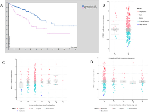 Figure 9 Validation of the significance of neural proliferation differentiation and control-1 (NPDC1) expression in other databases. (A) Proteinatlas database correlation between NPDC1 expression and patient survival. (B–D) cBioportal database clinical significance of NPDC1 expression, lymph node metastasis (B), tumor stage (C), and distant metastasis (D).