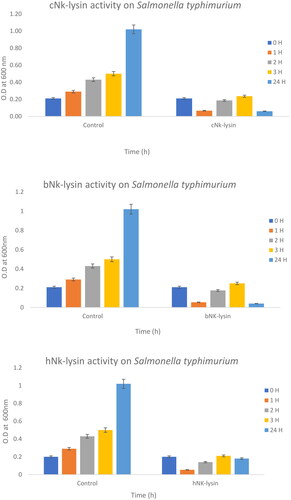 Figure 1. Antimicrobial activity of Nk-lysin peptides of chicken, bovine and human against Salmonella typhimurium. Data presented as means (±SD) of three independent repeats in triplicate (*p˂0.03 compared to control group).