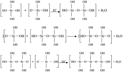 Figure 3. The second step of silicon species in the mesoporous system mainly underwent.