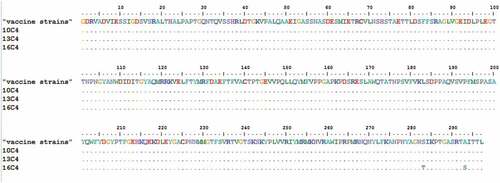 Figure 4. Variations were found in EV-A71 (VP1) of our study. ‘‘·’’ indicates matching to the “vaccin strains.” The ones marked with letters do not match.
