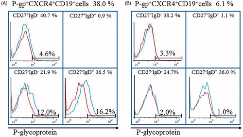 Figure 4. Tocilizumab downregulates P-gp+CXCR4+B cells and P-gp+CD27-IgD+B cells in RA with microscopic polyangiitis. Flow cytometric analysis identified P-gp+CXCR4+B cells and P-gp+CD27-IgD+B cells in the RA patient. Values above the chart are the proportions of P-gp+CXCR4+ B cells just at start (A) and 4 weeks after (B) of tocilizumab therapy. Values at the top of each section are percentages of CD19+B cell subpopulations based on CD27/IgD classification. Flow cytometric analysis showed P-gp expression on each B cell subpopulation (blue lines). Data represent the percentages of P-gp-positively stained B cell subpopulations. Red: isotype-control FITC-conjugated anti-mouse IgG Ab. The number of CD27+IgD+CD19+ B cells was lower than that was available for the histogram exhibition and P-gp expression analysis. Specific antibodies used for staining and flow cytometric analysis, including MRK16 for P-gp (a specific mAb against P-gp; Kyowa Medex, Tokyo) with FITC-conjugated goat anti-mouse IgG mAb, cy-chrome-conjugated CD19 mAb, APC-conjugated CD27 mAb and PE-conjugated IgD and CXCR4 mAb (BD Biosciences Pharmingen).