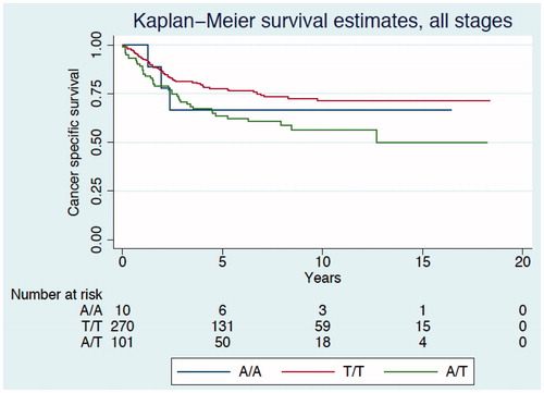 Figure 1. Kaplan–Meier curve describing cancer-specific survival estimates among CRC patients of all TNM stages according to genotypes of the PLA2G4C gene polymorphism.