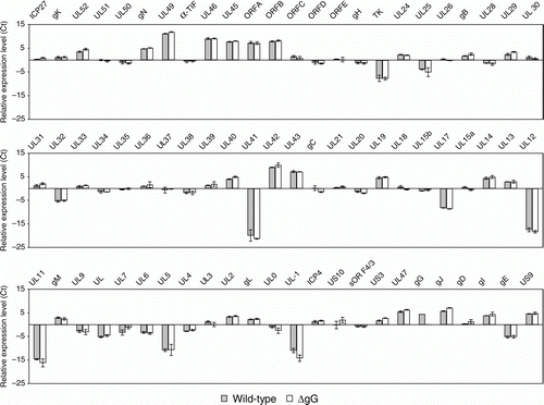 Figure 2.  Mean relative levels of transcription of genes of wild-type and gG-deleted ILTV in the trachea at 4 days after infection. Error bars indicate the standard deviations for each gene calculated from assays on tracheas from three birds.