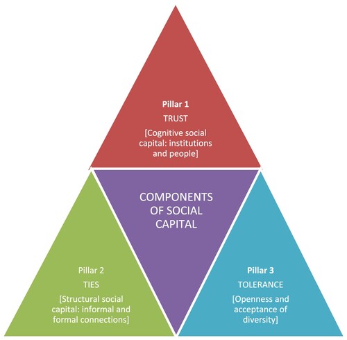 Figure 1. Components of social capital.