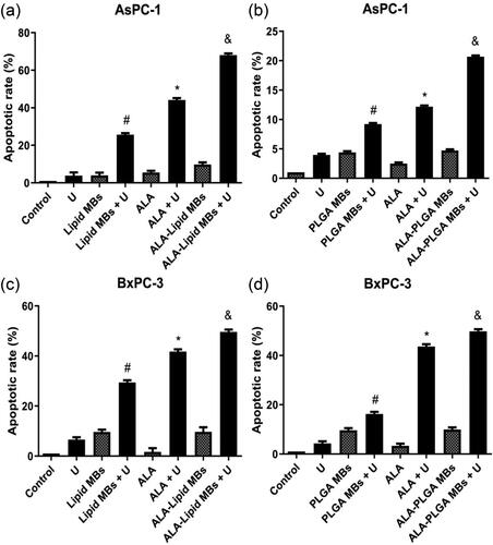 Figure 5. The apoptotic percentages of (a) ALA-lipid MBs + U treated AsPC-1 cells, (b) ALA-PLGA MBs + U treated AsPC-1 cells, (c) ALA-lipid MBs + U treated BxPC-3 cells and (d) ALA-PLGA MBs + U treated BxPC-3 cells determined by flow cytometry. #p < .05 compared with the lipid/PLGA MBs or ultrasound group. *p < .05 compared with the ALA or U group. &p < .05 compared with the ALA-lipid/PLGA MBs or U group.