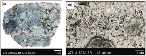 Figure 21. Subseafloor feeder zones of hydrothermal activity: (a) example of the mineralised (barite–pyrite–chalcopyrite–sphalerite) rocks in the stock work zone; (b) example of mineralised and altered (illite–natroalunite–pyrophyllite–quartz–opal CT–pyrite–native sulfur) breccia. IODP expedition 376, respectively U1530A-4R-1and U1528A-7R-1A (de Ronde et al., Citation2019a).