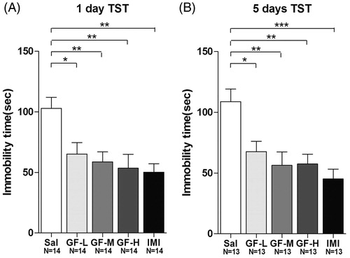 Figure 3. Griflola frondosa (GF) demonstrated significant antidepressant effects in the tail suspension test (TST). CD-1 mice were fed with regular mouse chow, a low dose of Griflola frondosa (GF powder:mouse chow =1:4, GF-L); a medium dose of Griflola frondosa (GF powder:mouse chow =1:2, GF-M); or a high dose of Griflola frondosa (GF powder:mouse chow =1:1, GF-H). For the positive control group, mice were i.p. injected with imipramine (15 mg/kg/day, IMI). Mice in the negative control group were i.p. injected with saline (Sal). One day or five days after the GF-treated food intake, mice were subjected to the TST. The number of mice per group is indicated in each individual graph. Data were analysed by one-way ANOVA and presented as the mean ± SE (post hoc Tukey’s test, *p < 0.05, **p < 0.01, ***p < 0.001). (A) One day after the administration, GF treatment significantly reduced the immobility time in the TST. (B) Five days after the GF administration, GF again significantly reduced the immobility time in the TST.