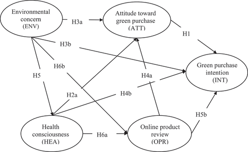 Figure 1. Results of the structural model.