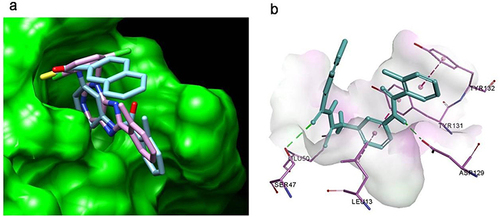 Figure 5 Molecular docking result of F9 on LMPTP. (a) The binding pocket and binding pose of F9 to LMPTP; (b) the predicted binding modes of F9 to LMPTP.