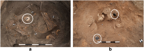Figure 2. Funerary citations at çatalhöyük (a) Burial F.7961, building 131, middle period: adult female with obsidian mirror (circled) and five isolated crania at feet (not shown). (b) Burial 3630 in the same location, after the house was rebuilt as building 124. Primary adolescent burial, one primary disturbed burial and two isolated crania, with obsidian mirrors (circled). Photos: Jason Quinlan, with permission of I. Hodder, Çatalhöyük research project.