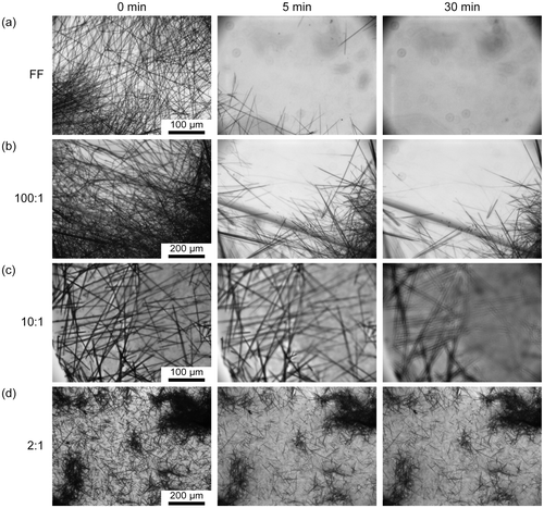Figure 4. Optical images showing aqueous stability of FF/GO nanocomposites after 0 min, 5 min, and 30 min for (a) FF, (b) 100:1, (c) 10:1, and (d) 2:1 samples.
