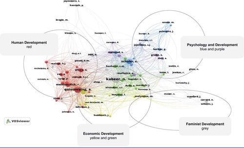 Figure 2. Co-citation network map of sampled studies (n = 61).