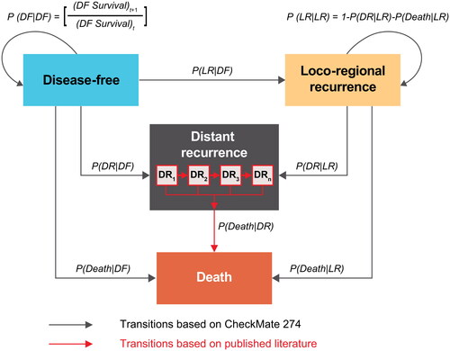 Figure 1. Model overview. Abbreviations. DF, disease-free; DR, distant recurrence; LR, local recurrence; P(Death|DF), probability of death from DF; P(Death|LR), probability of death from LR; P(DF|DF), probability of staying in DF; P(DR|DF), probability of moving from DF to DR; P(DR|LR), probability of moving from LR to DR; P(LR|DF), probability of moving from DF to LR; P(LR|LR), probability of staying in LR.Note: DR1 to n indicates model’s ability to track the time of entrance to the DR state via series of tunnel states, which are needed for the application of probability distributions with an underlying time-variant hazard structure.