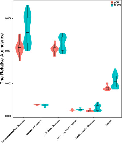 Figure 8 Microbiota correlation network analysis. The relative abundance of neurodegenerative disease, metabolic disease, infectious disease, immune system disease, cardiovascular disease and cancer were significantly lower in pCR group than in non-pCR group.