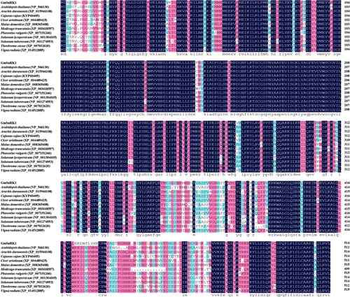 Figure 1. Multiple sequence alignment of the predicted GmSnRK1 protein with its homologous proteins from other plant species.