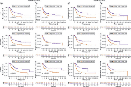 Figure 5. Evaluation of lncRNA and mRNA risk signatures. Kaplan–Meier overall survival curves for patients with bladder cancer (BLCA) in the low- and high-risk subgroups of the lncRNA (A) and mRNA (B) risk signatures. Kaplan–Meier progression-free survival curves for patients with BLCA in the low- and high-risk subgroups of the lncRNA (C) and mRNA (D) risk signatures. Univariate and multivariate analyses of independent prognostic value of the lncRNA (E) and mRNA (F) risk signatures. Receiver operating characteristics (ROC) curves for the risk scores of the lncRNA (G) and mRNA (H) risk signatures and other clinical characteristics. ROC curves validating the prognostic capability of lncRNA (I) and mRNA (J) risk signatures at 1, 3 and 5 years, respectively.