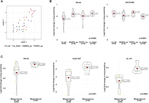 Figure 4. Verification of the response to PI3 K and MAPK inhibitors through the HSPA5 and FGFR1 interaction. (A) Box plots illustrate the extent of changes in cell viability when applying a compound within each group. A lower cell viability indicates higher drug sensitivity. The lower y-value indicates better drug sensitivity. The drug response differences to PIK-93 and SB-203580 were demonstrated according to the HSPA5 and FGFR1 expression patterns (p ≤ 0.05). (B) Drug response differences to PIK-93, CUDC-907, and XL-147 are shown according to the mesenchymal and proneural subtypes (p ≤ 0.05).