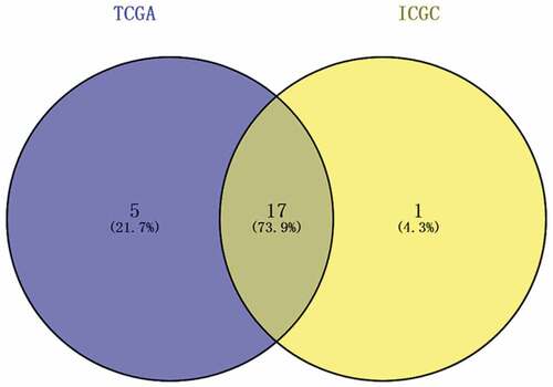 Figure 2. Venn diagram showing the intersecting differentially expressed MDGs from two public databases. Blue area: TCGA dataset; yellow area: ICGC dataset; cross area: differentially expressed MDGs expressed in both databases