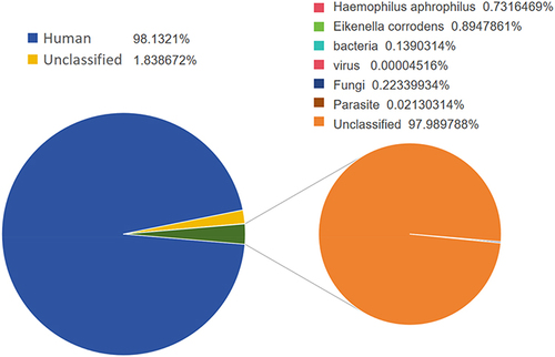 Figure 4 mNGS analysis reveals the mapping of Haemophilus aphrophilus with a coverage of 3.7% and Eikenella corrodens reads with a coverage of 0.89%. (Left) Total read distribution in the sample and (right) read distribution without the human host.