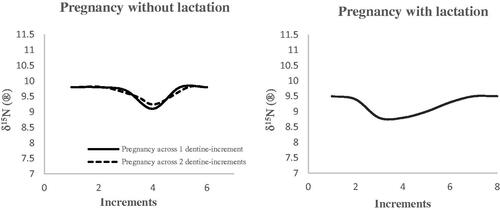 Figure 4. The exemplar of maternal incremental dentine δ15N profiles during pregnancy and lactation (based on Fuller et al. Citation2004; D'Ortenzio et al. Citation2015; Fuller et al. Citation2006; Herrscher et al. Citation2017).