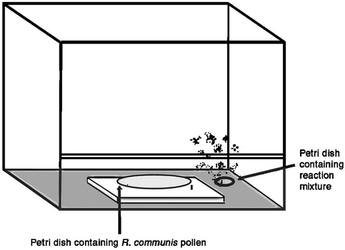 Diagrammatic sketch of the Glass Chamber used for the exposure of Ricinus communis pollen with pollutants SO2 and NO2.
