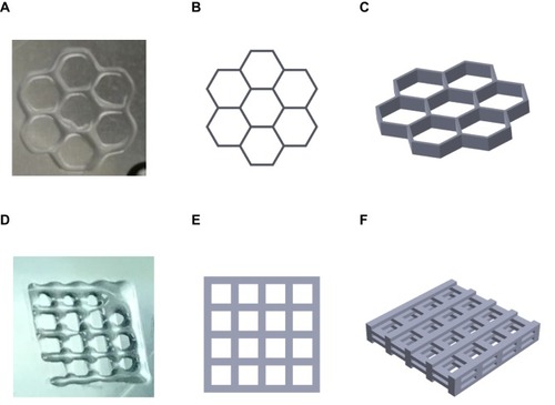 Figure 1 Images of in vitro 3D structures. (A) 3D-printed honeycomb structure; (B) simulated top view of honeycomb structure; (C) simulated side view of honeycomb structure; (D) 3D-printed grid structure; (E) simulated top view of grid structure; (F) simulated side view of grid structure.