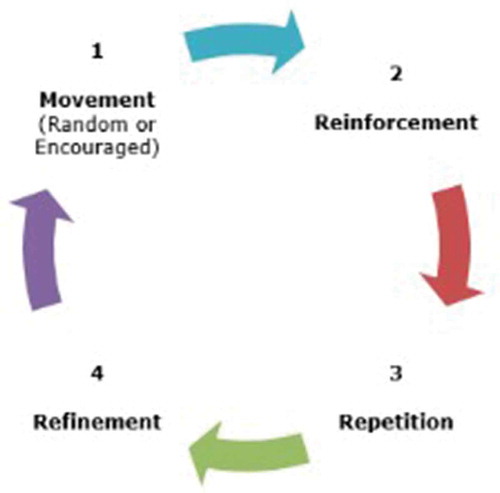 Figure 1. The MR3 cycle