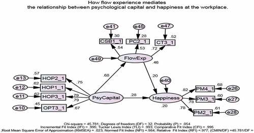 Figure 2. Final SEM model for mediation by flow experience.