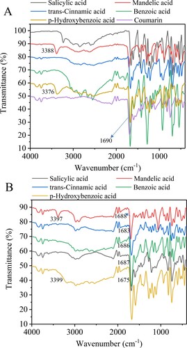 Figure 2. FTIR spectra for pure sources (A) and the obtained eutectic solvent systems (B). Aromatic organic acids/coumarin molar ratio 1:3.