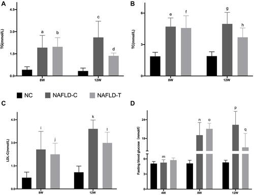 Figure 1 Effect of DPP4i on serum (A) TG, (B) TC, (C) LDL-C, (D) FBG level in NAFLD mice. a: no significant difference between NAFLD-C (8w) and NAFLD-T group (8w); no significant difference between NAFLD-C group (8w) and NAFLD-C group (12w); NAFLD-C group (8w) vs. NC group (8w) P < 0.01. b: NAFLD-T group (8w) vs. NC group (8w) P < 0.01; NAFLD-T group (8w) vs. NAFLD-T group (12w) P < 0.05. c: NAFLD-C group (12w) vs. NC group (12w) P < 0.01; NAFLD-C group (12w) vs. NAFLD-T (12w) P < 0.05. d: NAFLD-T group (12w) vs. NC group (12w) P < 0.05. e: no significant difference between NAFLD-C (8w) and NAFLD-T group (8w); no significant difference between NAFLD-C group (8w) and NAFLD-C group (12w); NAFLD-C group (8w) vs. NC group (8w) P < 0.01. f: NAFLD-T group (8w) vs. NC group (8w) P < 0.01; no significant difference between NAFLD-T group (8w) and NAFLD-T group (12w). g: NAFLD-C group (12w) vs. NC group (12w) P < 0.001; NAFLD-C group (12w) vs. NAFLD-T (12w) P < 0.05. h: NAFLD-T group (12w) vs. NC group (12w) P < 0.05. i: no significant difference between NAFLD-C (8w) and NAFLD-T group (8w); NAFLD-C group (8w) vs. NAFLD-C group (12w) P < 0.05; NAFLD-C group (8w) vs. NC group (8w) P < 0.001. j: NAFLD-T group (8w) vs. NC group (8w) P < 0.05; no significant difference between NAFLD-T group (8w) and NAFLD-T group (12w). k: NAFLD-C group (12w) vs. NC group (12w) P < 0.001; NAFLD-C group (12w) vs. NAFLD-T (12w) P < 0.05. l: NAFLD-T group (12w) vs. NC group (12w) P < 0.001. m: no significant difference between NAFLD-C (4w) and NAFLD-T group (4w) and NC group (4w). n: NAFLD-C group (8w) vs. NC group (8w) P < 0.001; NAFLD-C group (4w) vs. NAFLD-C group (8w) P < 0.05; no significant difference between NAFLD-C (8w) and NAFLD-T group (8w). o: NAFLD-T group (4w) vs. NAFLD-T group (8w) P < 0.05; NAFLD-T group (8w) vs. NC group (8w) P < 0.001. p: NAFLD-C group (12w) vs. NC group (12w) P < 0.001; NAFLD-C group (12w) vs. NAFLD-T group (12w) P < 0.01; no significant difference between NAFLD-C group (12w) and NAFLD-C group (8w). q: NAFLD-T group (8w) vs. NAFLD-T group (12w) P < 0.05; NAFLD-T group (12w) vs. NAFLD-C group (12w) P < 0.01; NAFLD-T group (12w) vs. NC group (12w) P < 0.001.