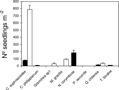 Figure 4 Number of seedlings emerged per m2 during the 2007 growing season in disturbed (black bars) and non-disturbed (white bars) areas of the south-facing slope in the surroundings of the La Parva Ski complex in the Andes of central Chile. Means are shown with 2 SE.