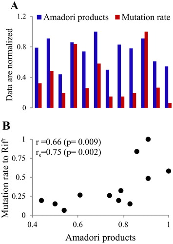 Figure 6. The level of Amadori products in DNA and the spontaneous mutation rate to Rifr (A) in E. coli stationary phase cells exhibit high positive correlation (B). The Pearson (r) and the Spearman (rs) correlation coefficients are shown.