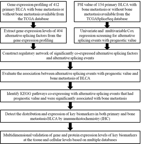 Figure 1. Article overall idea design