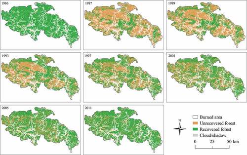 Figure 10. Spatial distribution of recovered forests obtained by DI < 3 in burn area, showing on pre-fire image (1986), fire image (1987), and post-fire images (1989, 1993, 1997, 2001, 2005, and 2011).