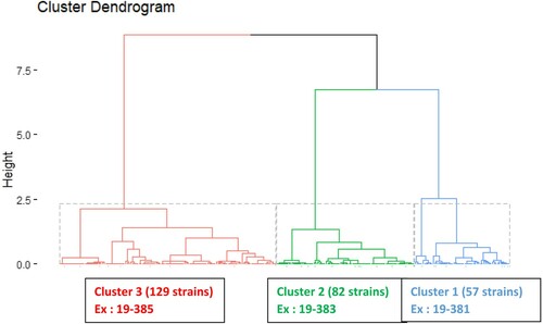 Figure 1. Dendrogram obtained by hierarchical clustering of 268 E. coli strains (x-axis labels) from 45 variables (i.e. phylogroup markers, serogroups, and 66 virulence markers). These variables are used to calculate the distances between the 268 strains (y-axis labels).