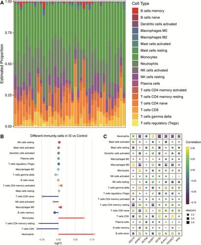 Figure 8 Differences between IS patients and controls in brain tissue infiltration by immune cell types. (A) Bar plot of levels of infiltration by 18 types of immune cells in the brains of IS patients. (B) Differences in immune cell infiltration between IS patients and controls. Red indicates significantly greater infiltration in IS; blue, significantly less infiltration. (C) Correlations between immune cell infiltration and expression of signature genes in IS. *P < 0.05, **P < 0.01.