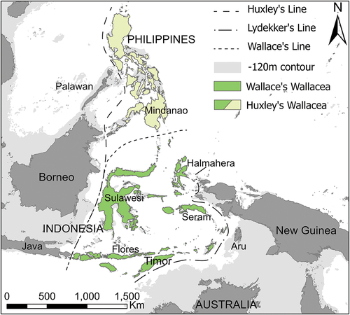 Figure 1. Map showing extent of Sunda and Sahul continental shelves (light grey) boardered by Lydekker’s line to the east and Wallace’s and Huxley’s lines to the west. The islands of Wallacea as per Wallace’s line are shown in dark green, while the Philippine islands included under Huxley’s modification to Wallace’s line are shown in light green.