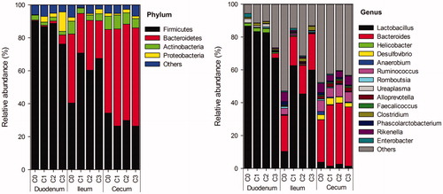 Figure 1. Effects of dietary treatments on the intestinal microbiota of Beijing-you chickens at the phylum and genus levels. C0: control; C1, C2 and C3: dietary supplementation of 5%, 8% and 10% fresh chicory forage (on dry matter base), respectively.