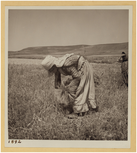 Figure 4. John D. Whiting, Women and Children Gleaning, Diary in photos, vol. III, 1938. Library of Congress