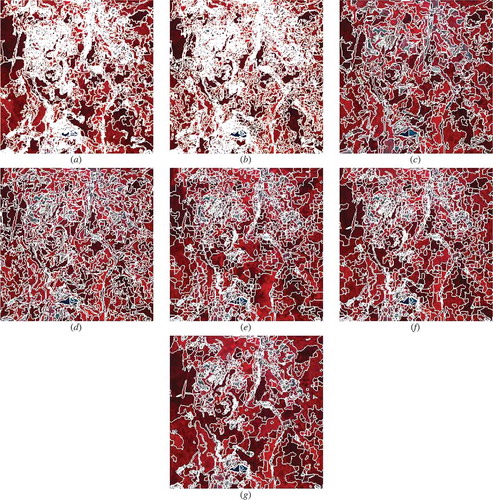 Figure 13. Segmentation results for T4. (a) IUOAS, (b) OUOAS, (c) HRM, (d) HSEG, (e) SVRM, (f) SCEP, (g) RMGP.