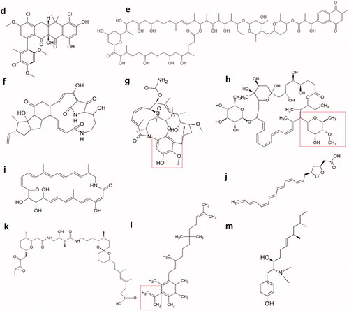 Figure 5.2. Molecular structures of new active polyketides found in insect symbionts. (d) Formicamycin F, one of the new pentacyclic polyketides. (e) Cyphomycin, a macrolide polyketide. (f) Frontalamide B, a polyketide with a macrolactam structure. (g) Natalamycin, a macrolactam polyketide. The substituted phenol function that replaces the benzoquinone function of the geldanamycins, is indicated in red. (h) Selvamicin, a polyene macrolide structurally very similar to the polyene antibiotics nystatin and amphotericin B. Indicated in red, is the sugar function that substitutes the amino sugar group of the regular polyene antibiotics. (i) Sceliphrolactam, a macrocyclic polyene. (j) Mycangimycin, a polyene peroxide with no macrocyclic ring structure. (k) Lagriamide, a polyether polyketide. (l) Ilicicolinic acid C. The carboxylic acid function is indicated in red. (m) N-methyltyroscherin, another non-polycyclic polyketide.